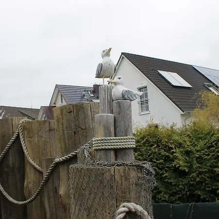 Koje * Zingst